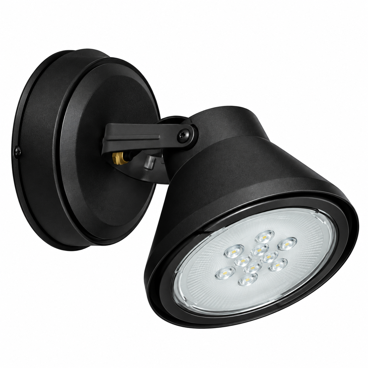 (6300-02) SPOT EXT P/LAMP AR111 NG